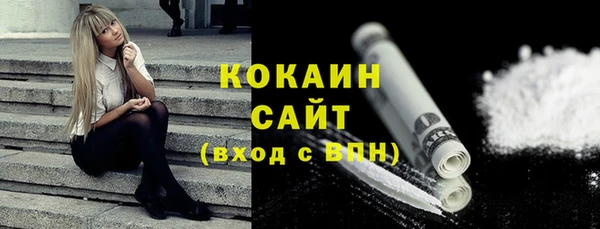 тгк Арсеньев