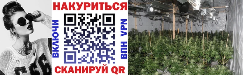 Бошки Шишки ГИДРОПОН  Кувшиново 